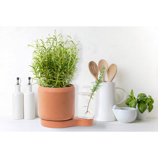 Greenfinity Terracotta Kweekstation