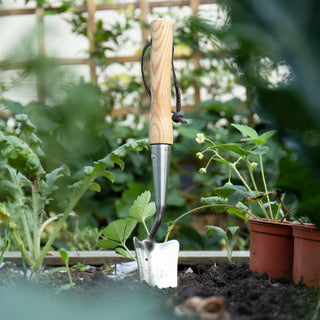 Rolson RVS Midi Handschep