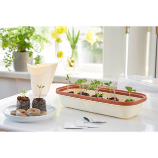 Romberg BOQUBE S Creme