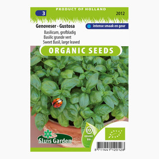 Sluis Garden Basilicum - grofbladig. Genoveser - Gustosa SL2012