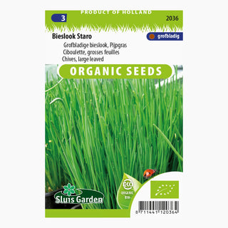 Sluis Garden Bieslook grove Staro SL2036