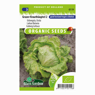 Grazer Krauthäuptel 2