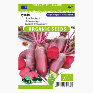 Sluis Garden Rode Bieten Cylindra SL0367