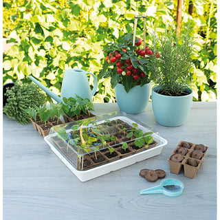 Sogo Eco Kweekbak (incl. 30 Turfpotjes)