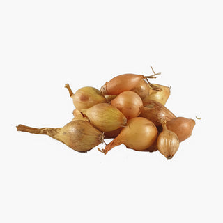 Sturon BIO Cipolle da piantare 250g