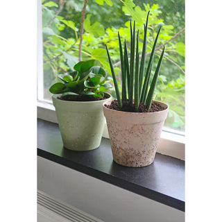 Plantenpot 'Jungle Fever' M