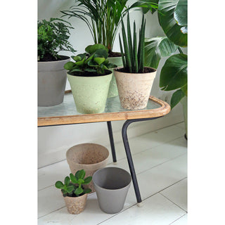 Plantenpot 'Jungle Fever' M